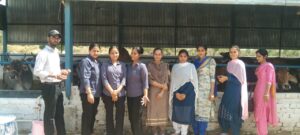 WhatsApp Image 2024-09-12 at 5.42.47 PM